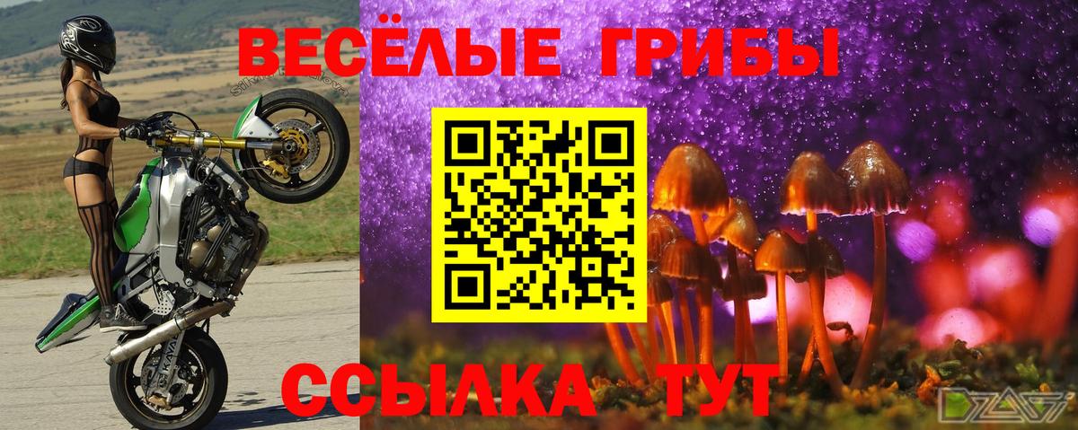 Гурьевск  Псилоцибиновые грибы Magic Shrooms  Вход с VPN 